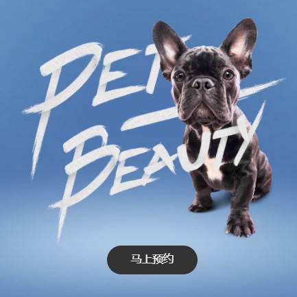 江孜宠物中心小程序开发